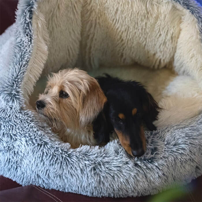 Calming Dog Bed Cave "Snuggle Sphere"