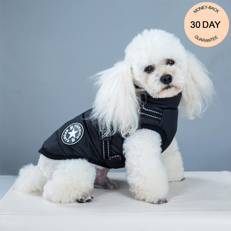 Water-Resistant Cosy Dog Jacket With Harness