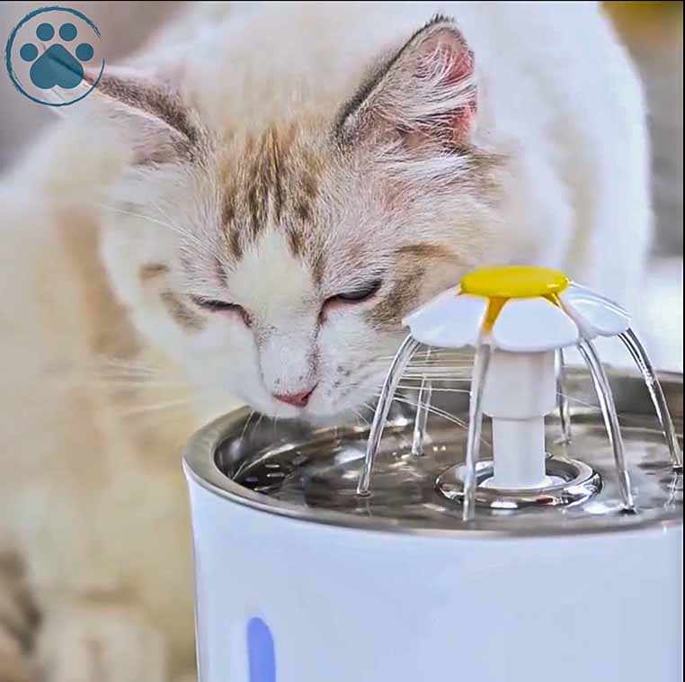 Pet´s Favorites Cat Water Fountain