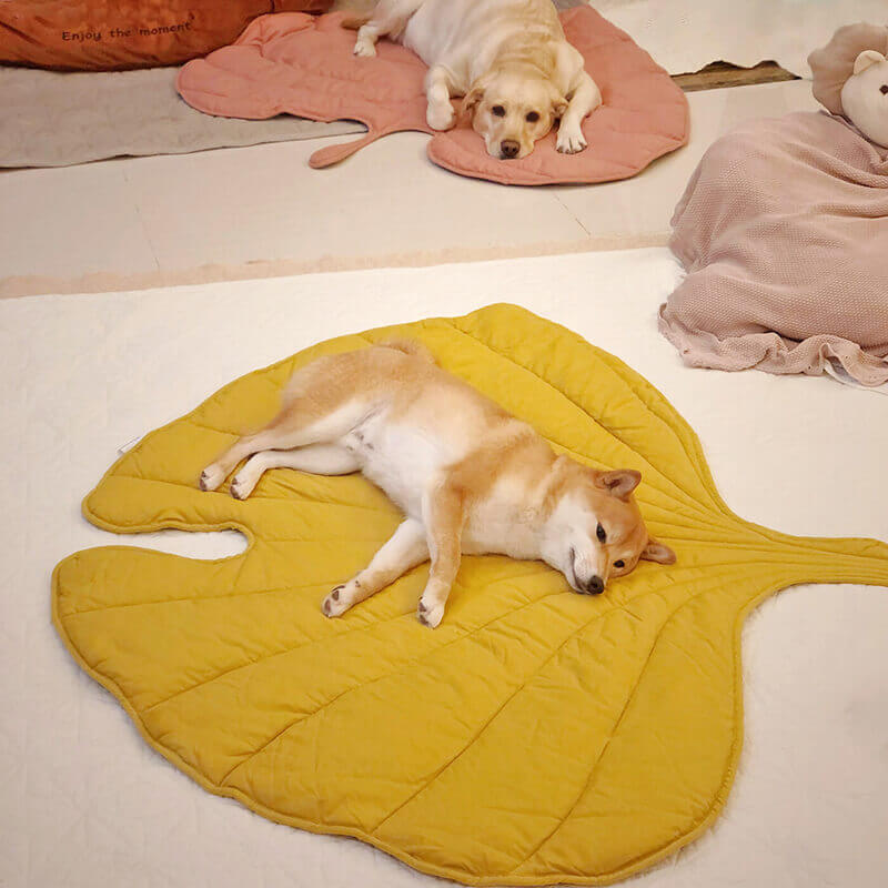 Calming Dog Blanket