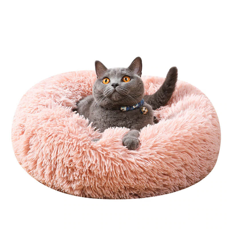 Orthopedic Pet Bed "SleepyPaws"