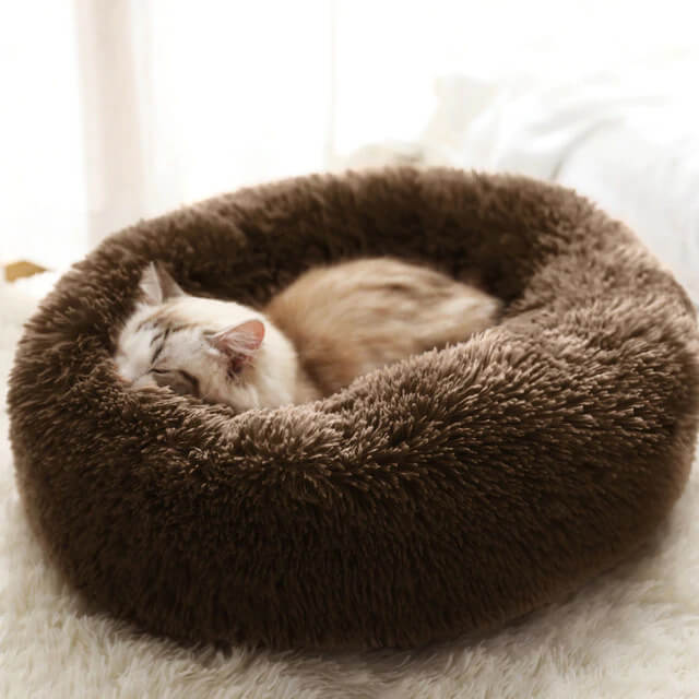 Orthopedic Pet Bed "SleepyPaws"