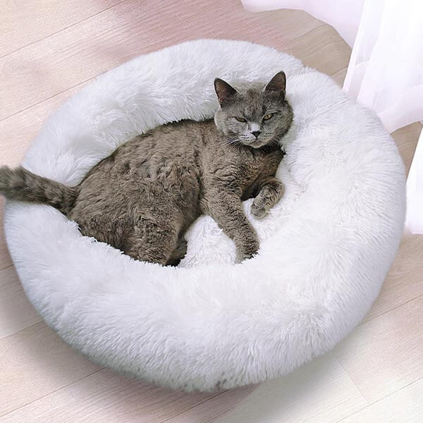 Orthopedic Pet Bed "SleepyPaws"