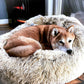 Orthopedic Pet Bed "SleepyPaws"