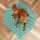 Calming Dog Blanket