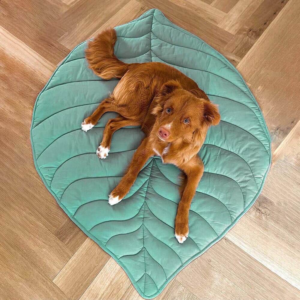 Calming Dog Blanket