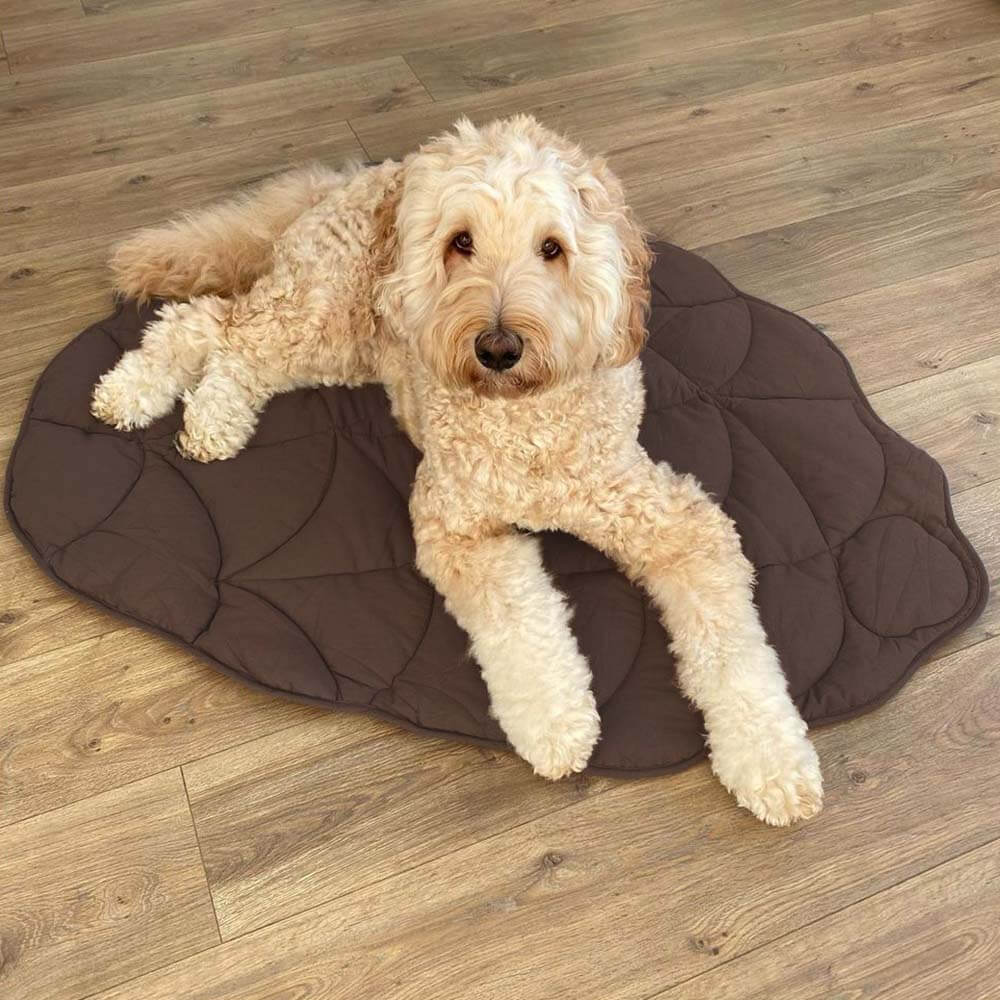 Cosy calming pet online blanket