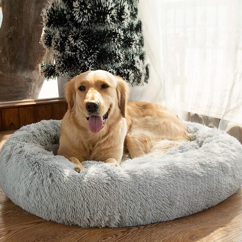 Orthopedic Pet Bed "SleepyPaws"