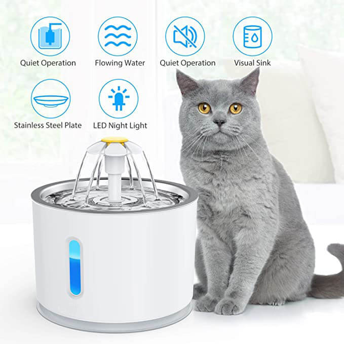 Pet s Favorites Cat Water Fountain