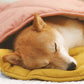 Calming Dog Blanket