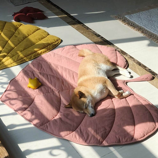 Calming Dog Blanket